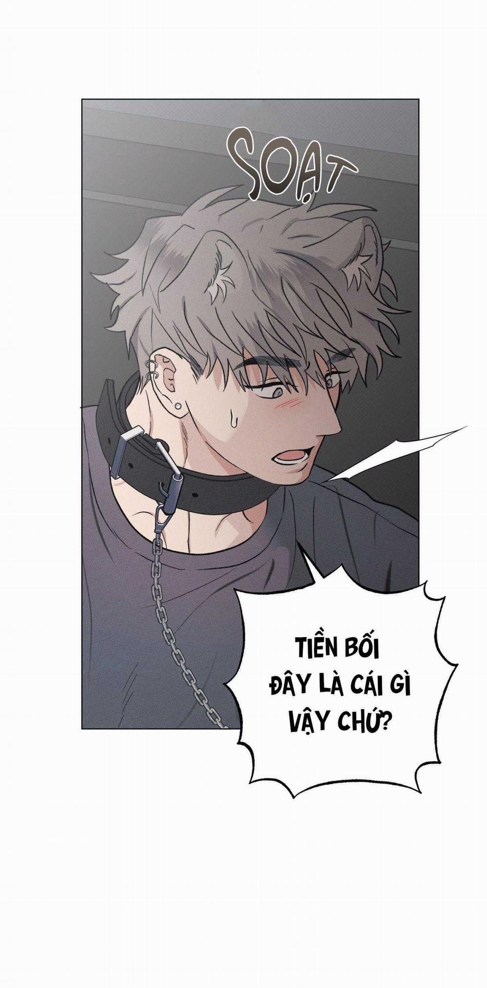 Nhật Ký Nuôi Dưỡng Sói Hoang 9 trang 13