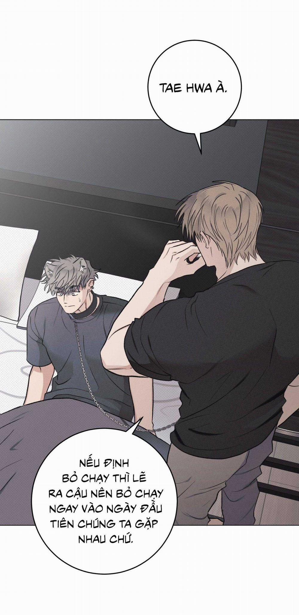 Nhật Ký Nuôi Dưỡng Sói Hoang 9 trang 16