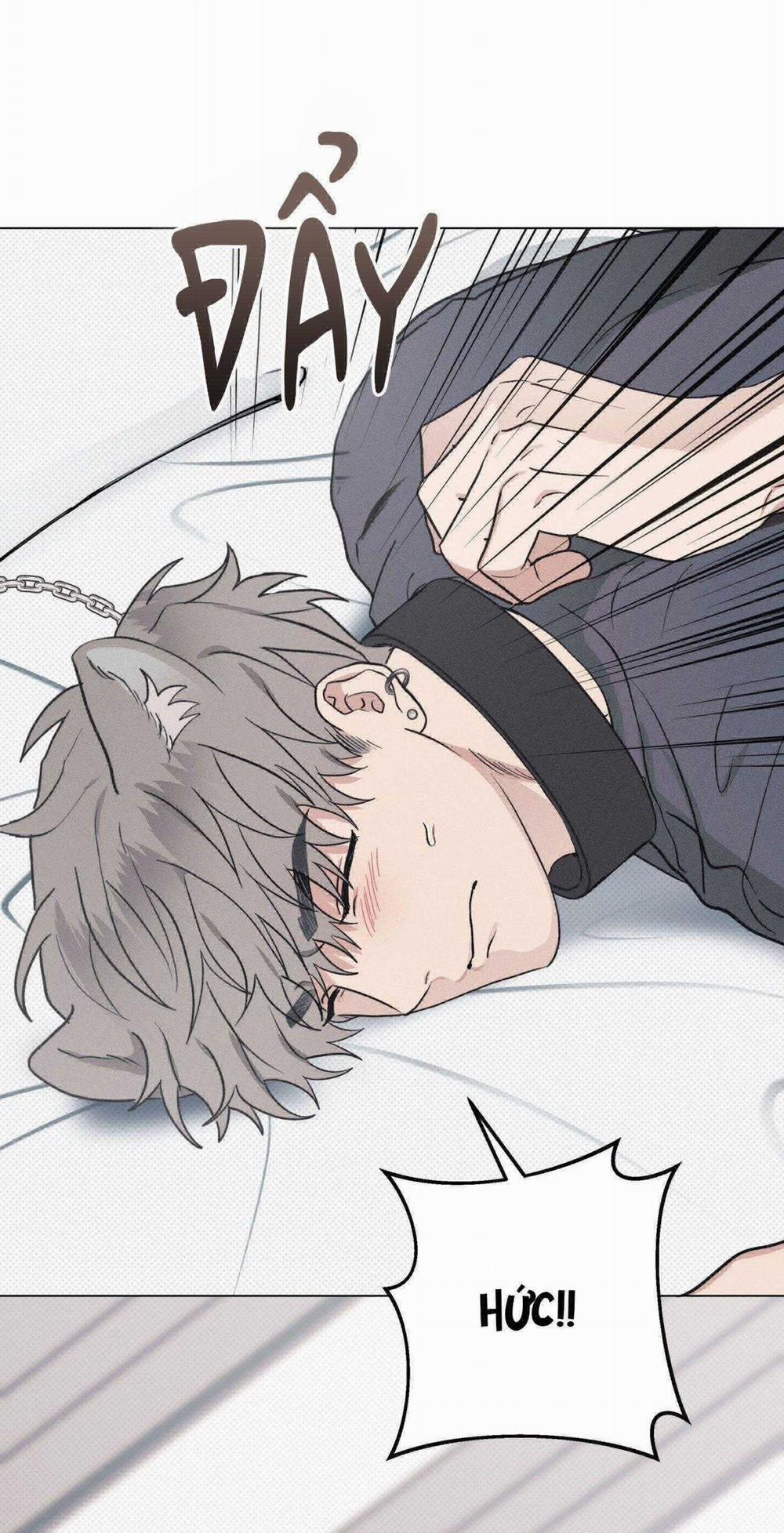 Nhật Ký Nuôi Dưỡng Sói Hoang 9 trang 40