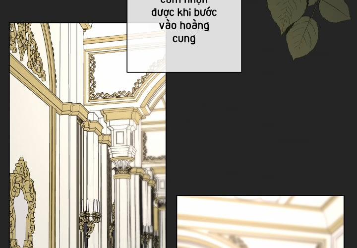 Nhật Thực 66 trang 27