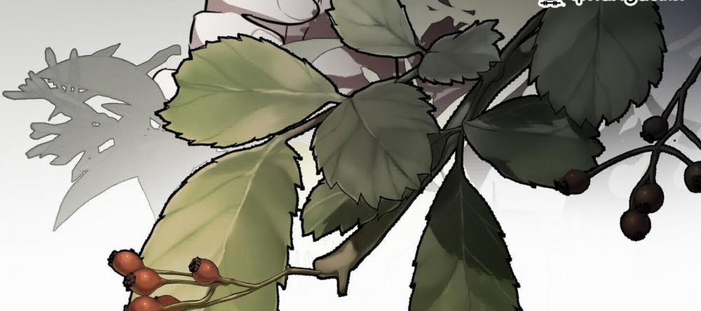 Nhật Thực 79 trang 188