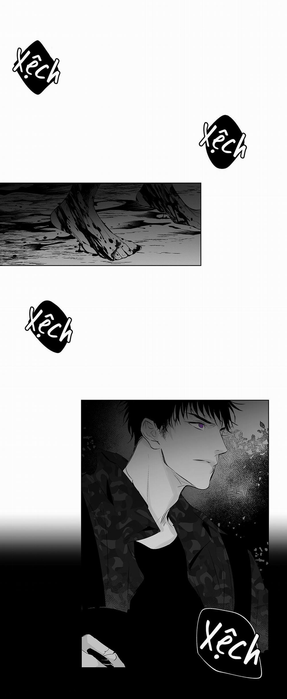 Nhiễu Sóng 8 trang 0