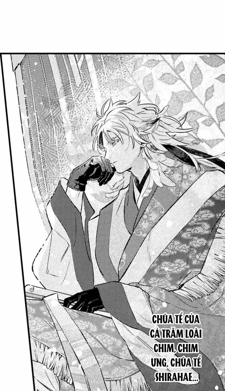 Nhìn vào đóa hoa của bình minh 1 trang 17