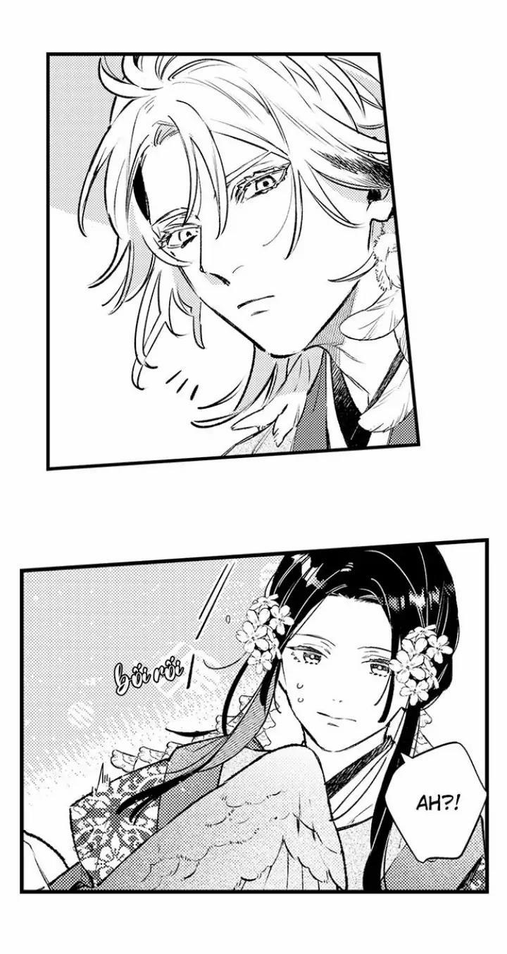 Nhìn vào đóa hoa của bình minh 1 trang 19