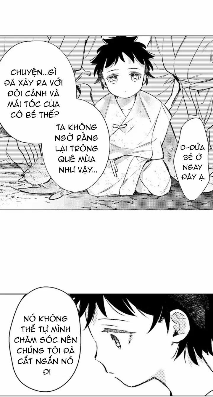 Nhìn vào đóa hoa của bình minh 1 trang 9