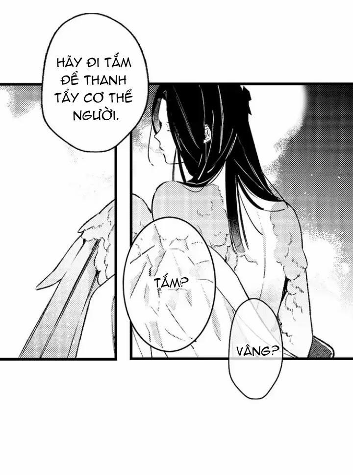 Nhìn vào đóa hoa của bình minh 2 trang 13