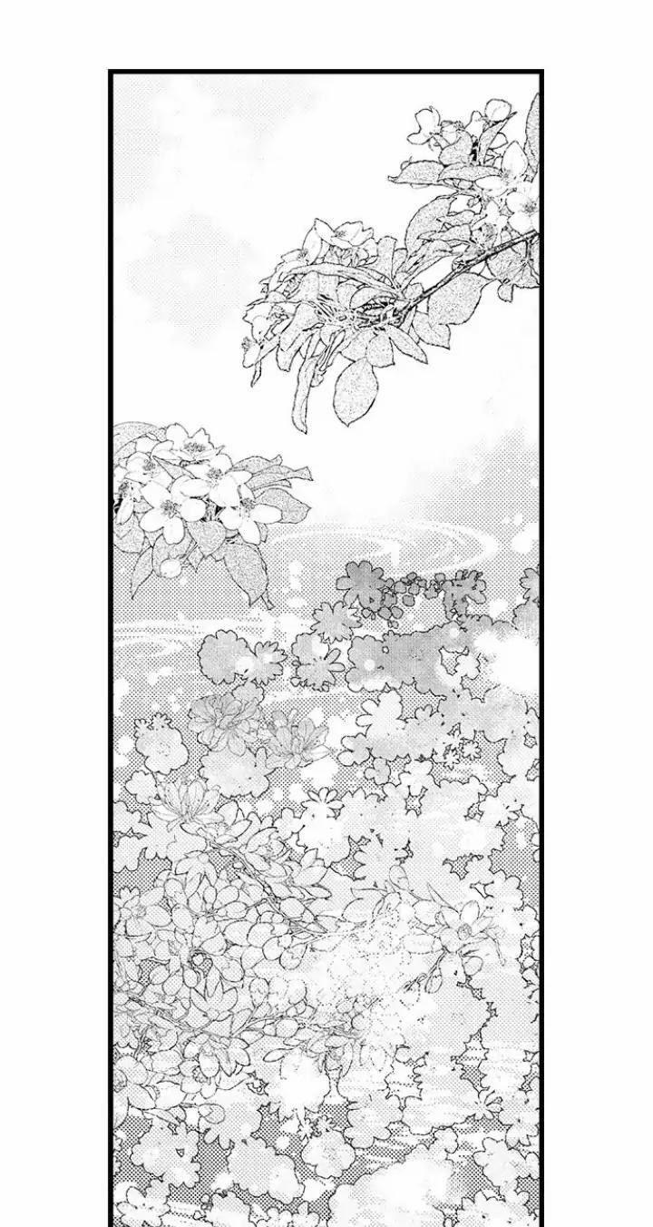 Nhìn vào đóa hoa của bình minh 2 trang 15