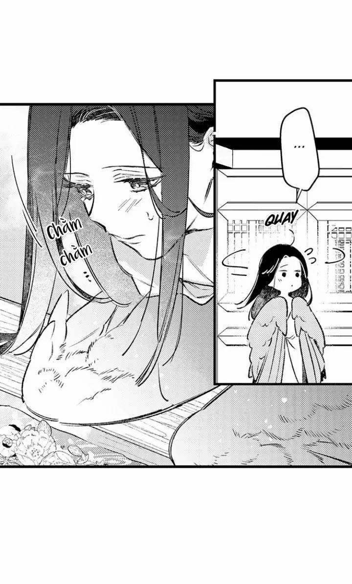 Nhìn vào đóa hoa của bình minh 2 trang 18