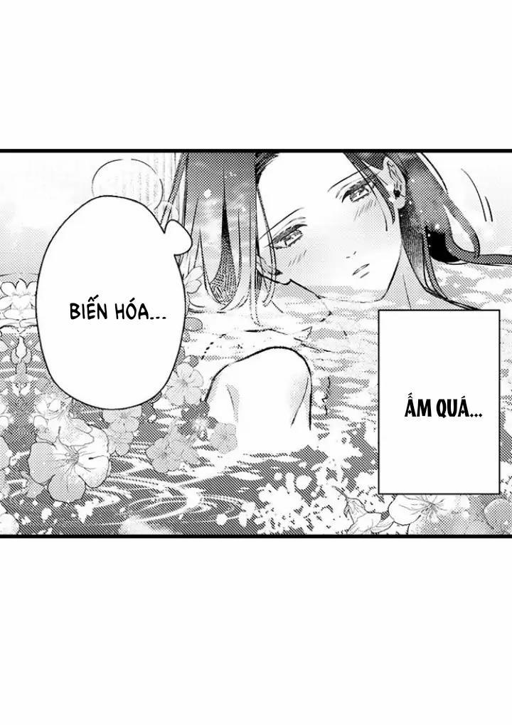 Nhìn vào đóa hoa của bình minh 2 trang 23