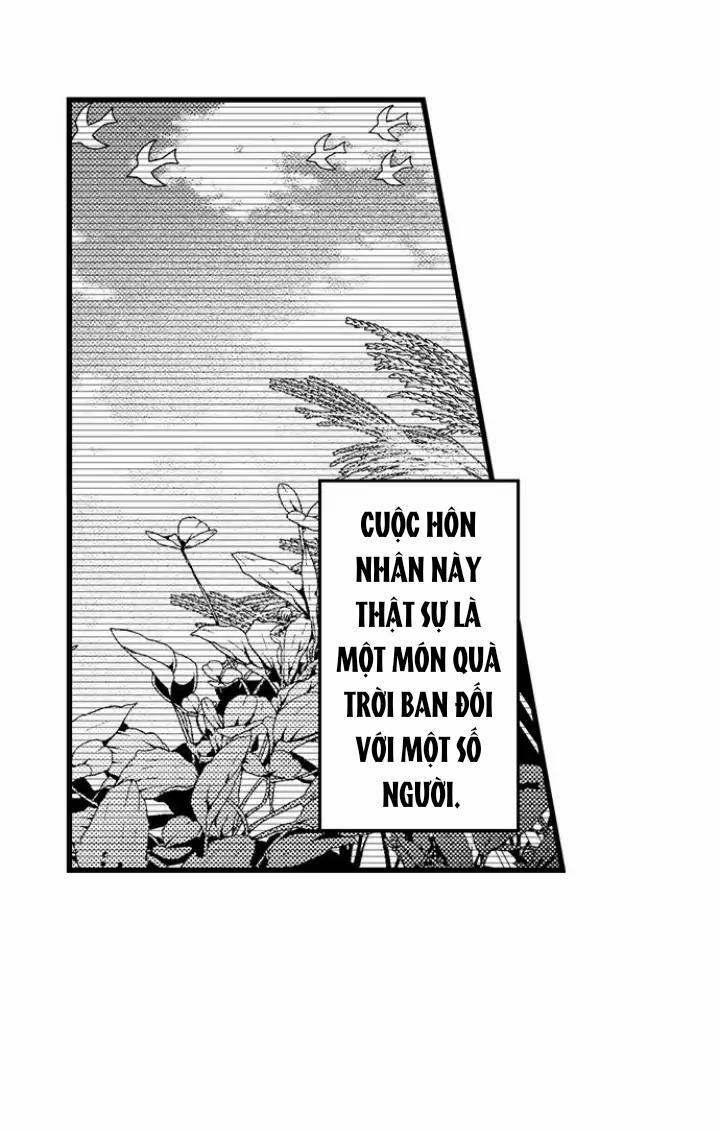 Nhìn vào đóa hoa của bình minh 2 trang 28