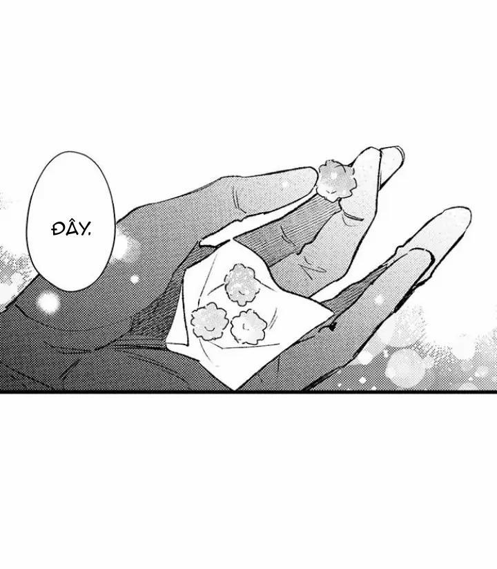 Nhìn vào đóa hoa của bình minh 2 trang 4