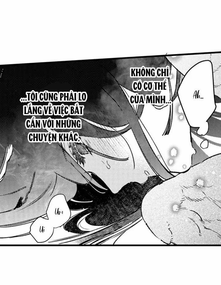 Nhìn vào đóa hoa của bình minh 3 trang 13