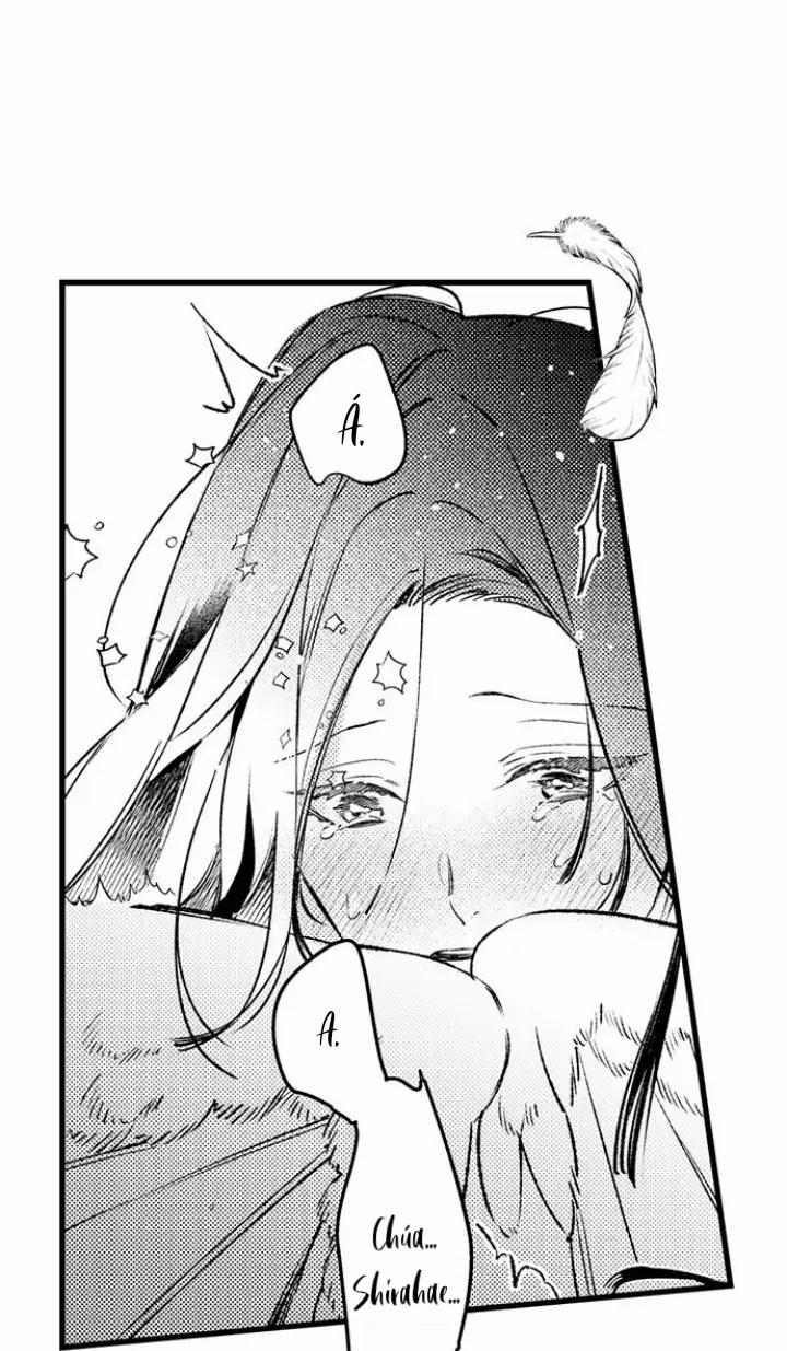 Nhìn vào đóa hoa của bình minh 3 trang 20