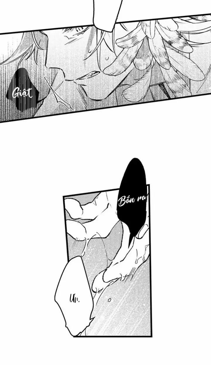 Nhìn vào đóa hoa của bình minh 3 trang 21