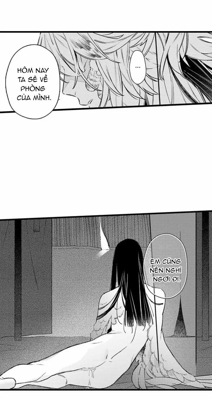 Nhìn vào đóa hoa của bình minh 3 trang 23