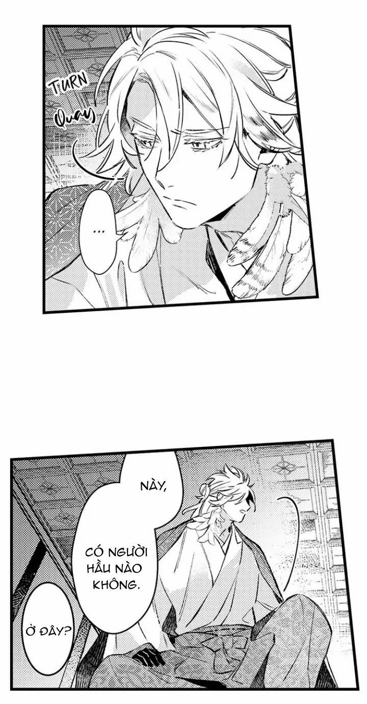 Nhìn vào đóa hoa của bình minh 3 trang 9