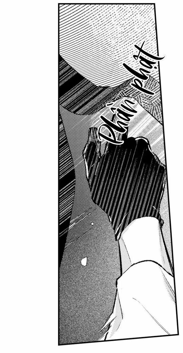 Nhìn vào đóa hoa của bình minh 4 trang 2