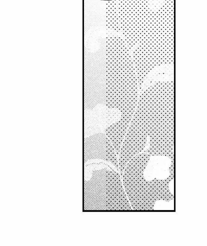 Nhìn vào đóa hoa của bình minh 4 trang 7