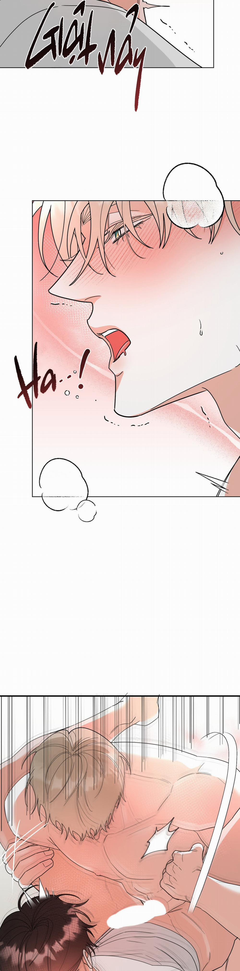 Nhìn Về Phía Em – Turn Over 13 trang 20