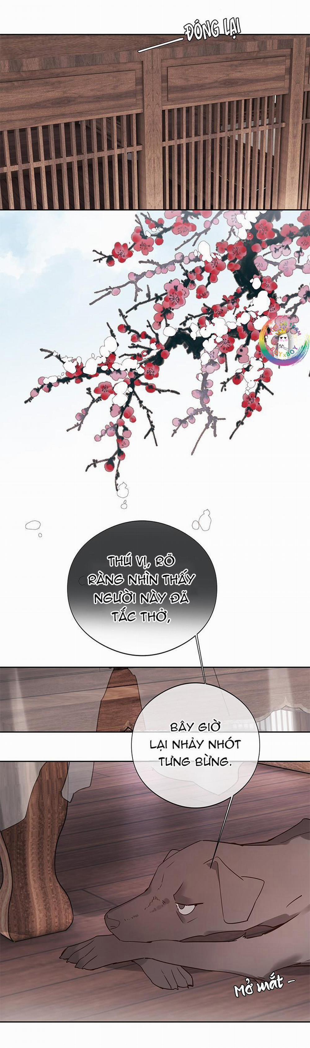 Như Thấy Tuyết Rơi 3 trang 12