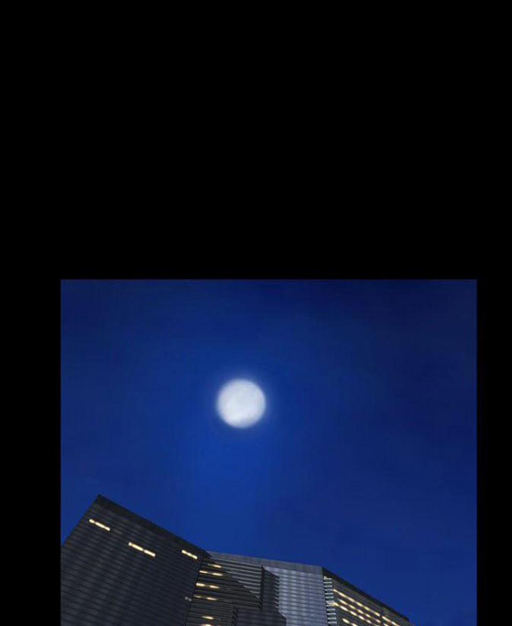 NHỮNG CÔ VỢ CỦA TÔI 14 trang 8