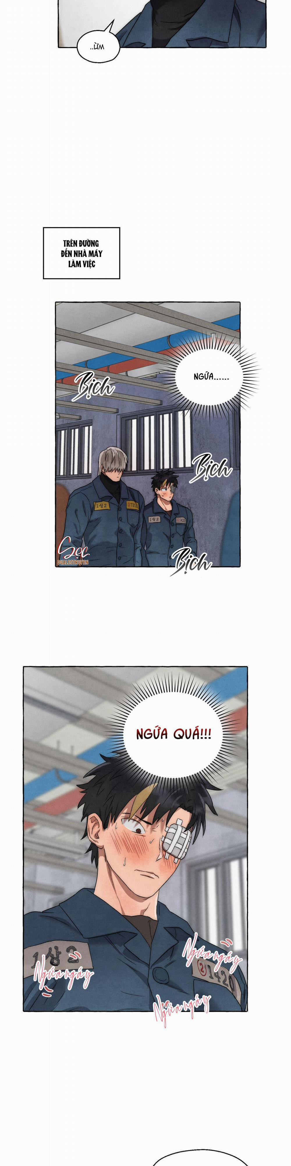 NHỮNG CON CHÓ TRONG TÙ 11 trang 26