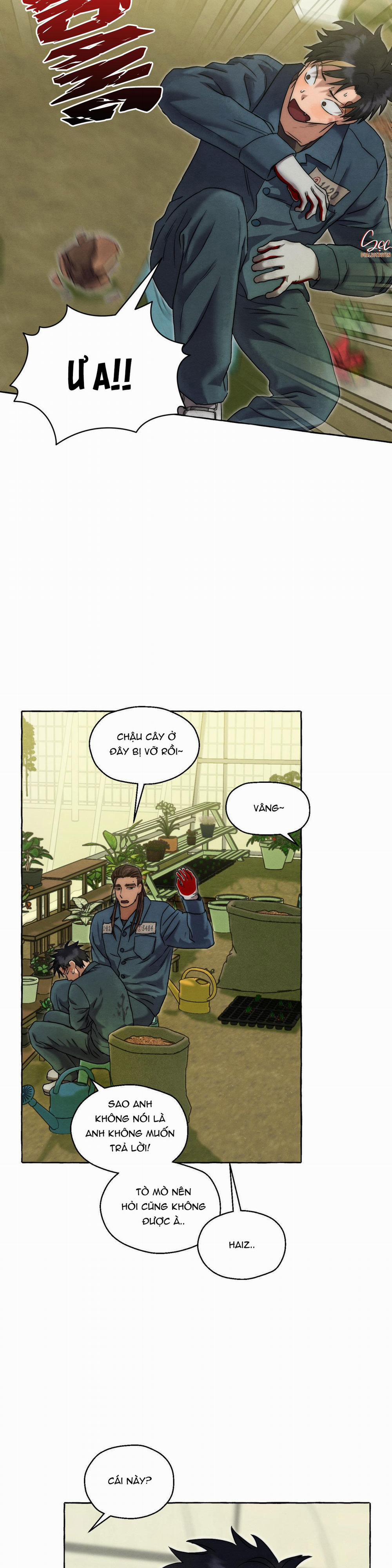 NHỮNG CON CHÓ TRONG TÙ 28 trang 19