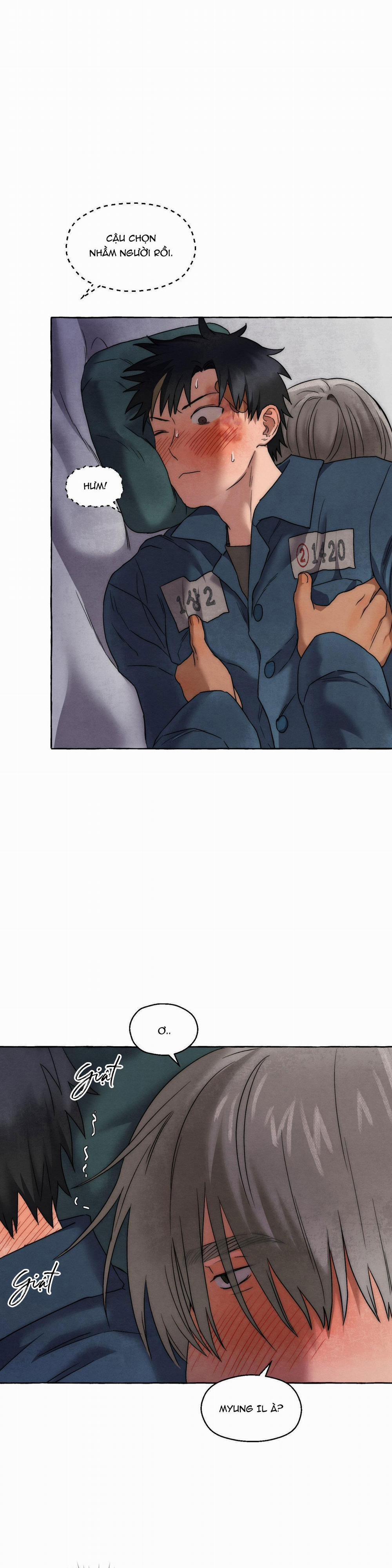 NHỮNG CON CHÓ TRONG TÙ 28 trang 8