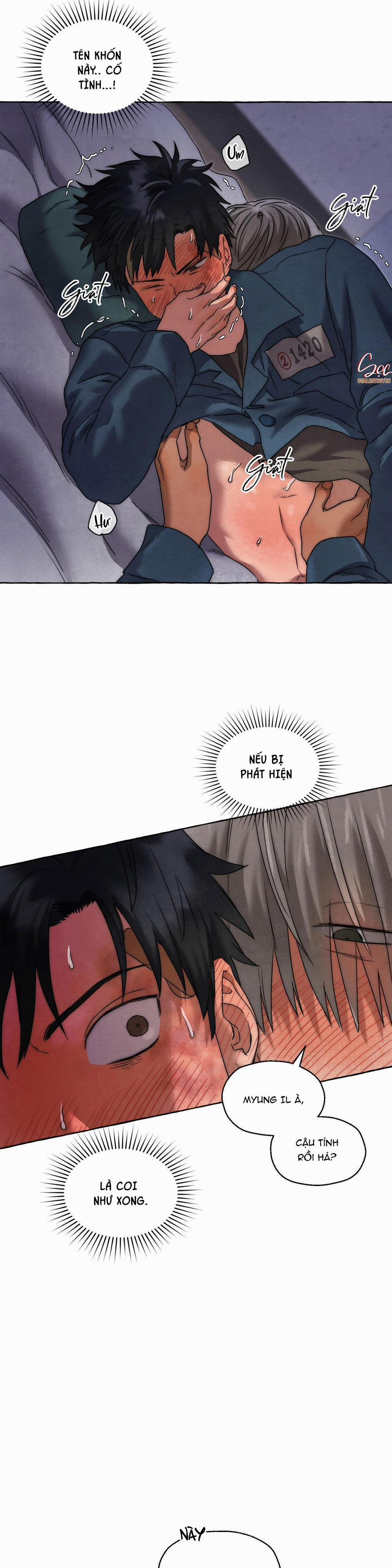 NHỮNG CON CHÓ TRONG TÙ 28 trang 9