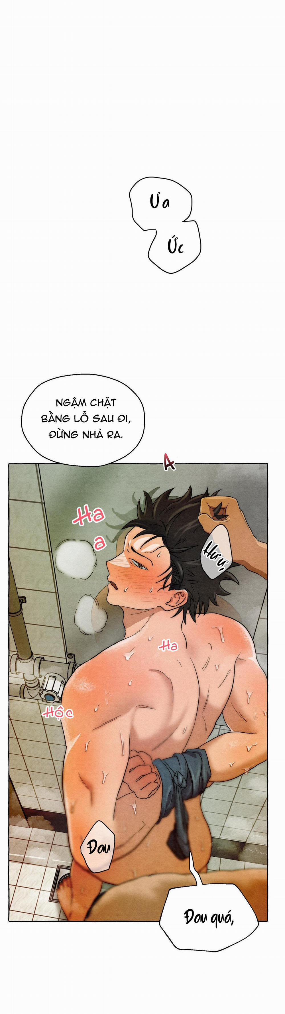 NHỮNG CON CHÓ TRONG TÙ 3 H+ trang 4