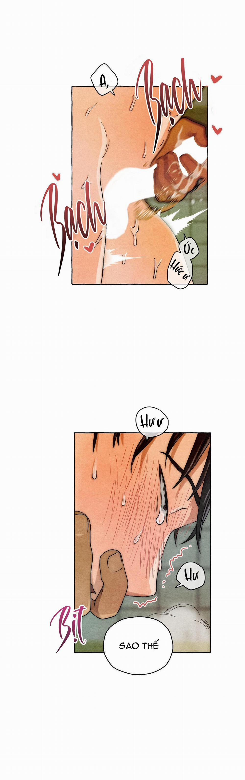 NHỮNG CON CHÓ TRONG TÙ 3 H+ trang 8