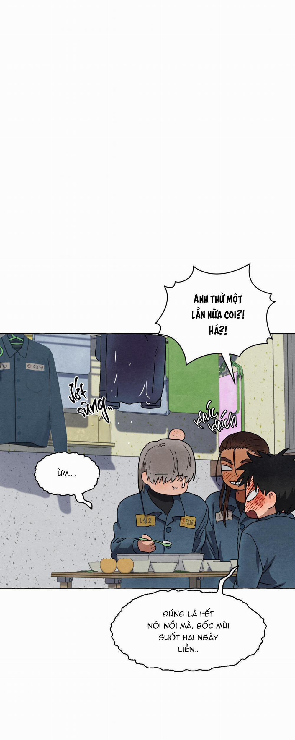 NHỮNG CON CHÓ TRONG TÙ 30 THẨM DU trang 22