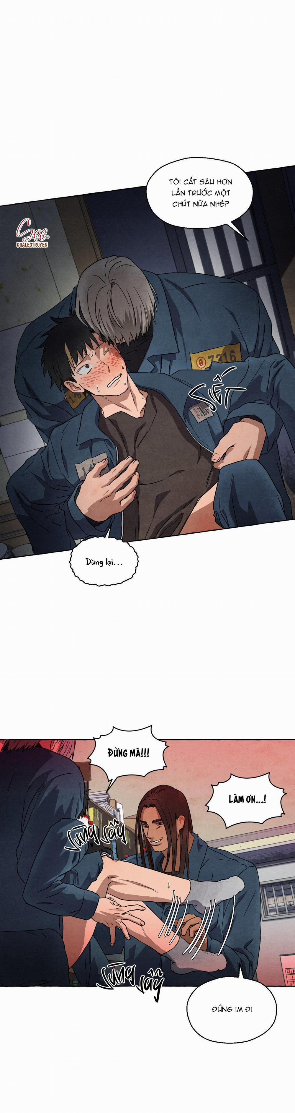 NHỮNG CON CHÓ TRONG TÙ 31 0 trang 7