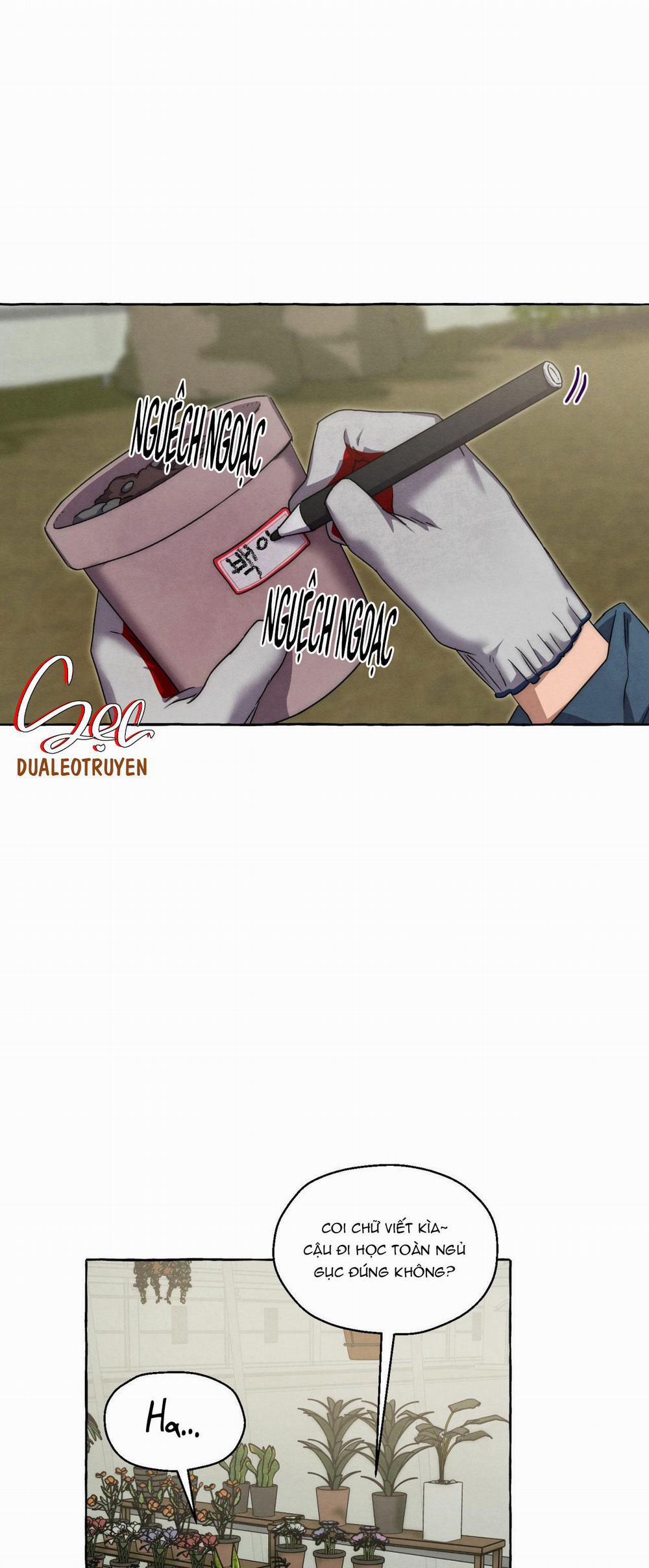 NHỮNG CON CHÓ TRONG TÙ 41 trang 19