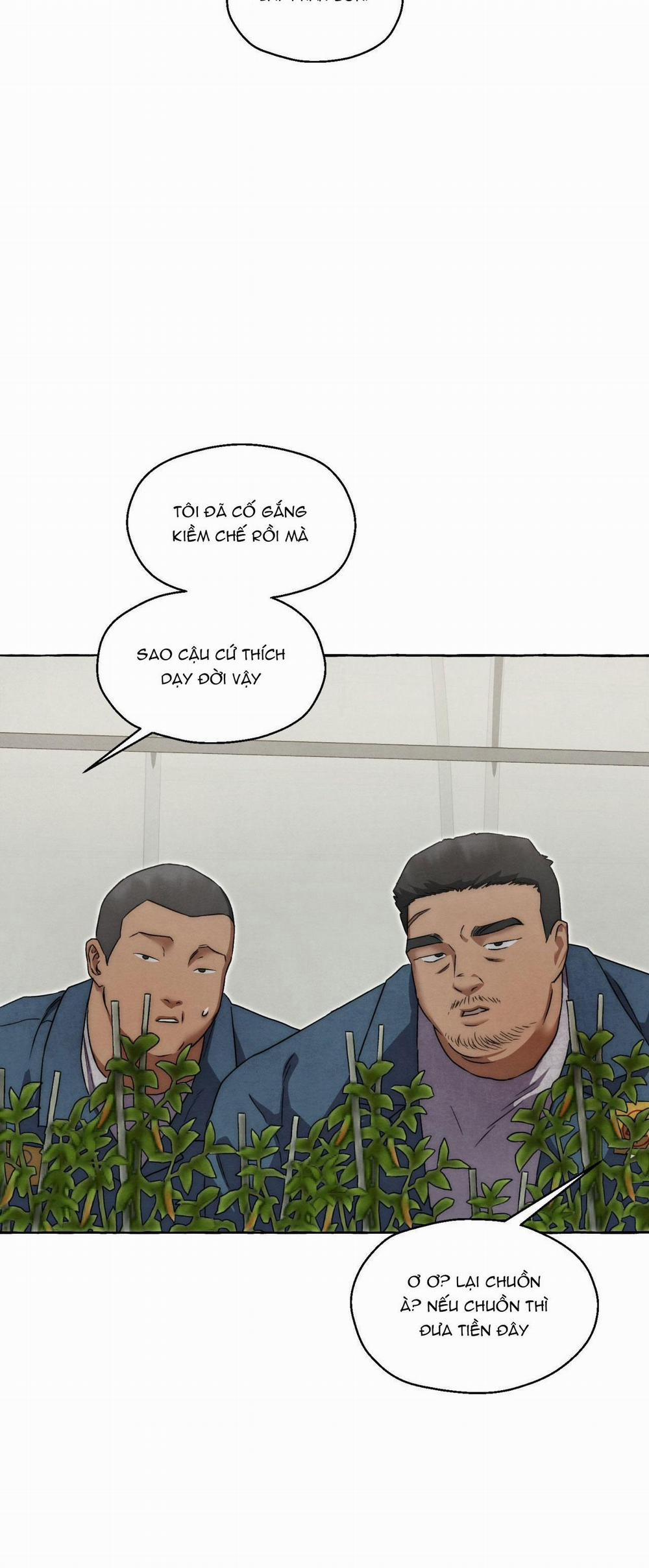 NHỮNG CON CHÓ TRONG TÙ 41 trang 23