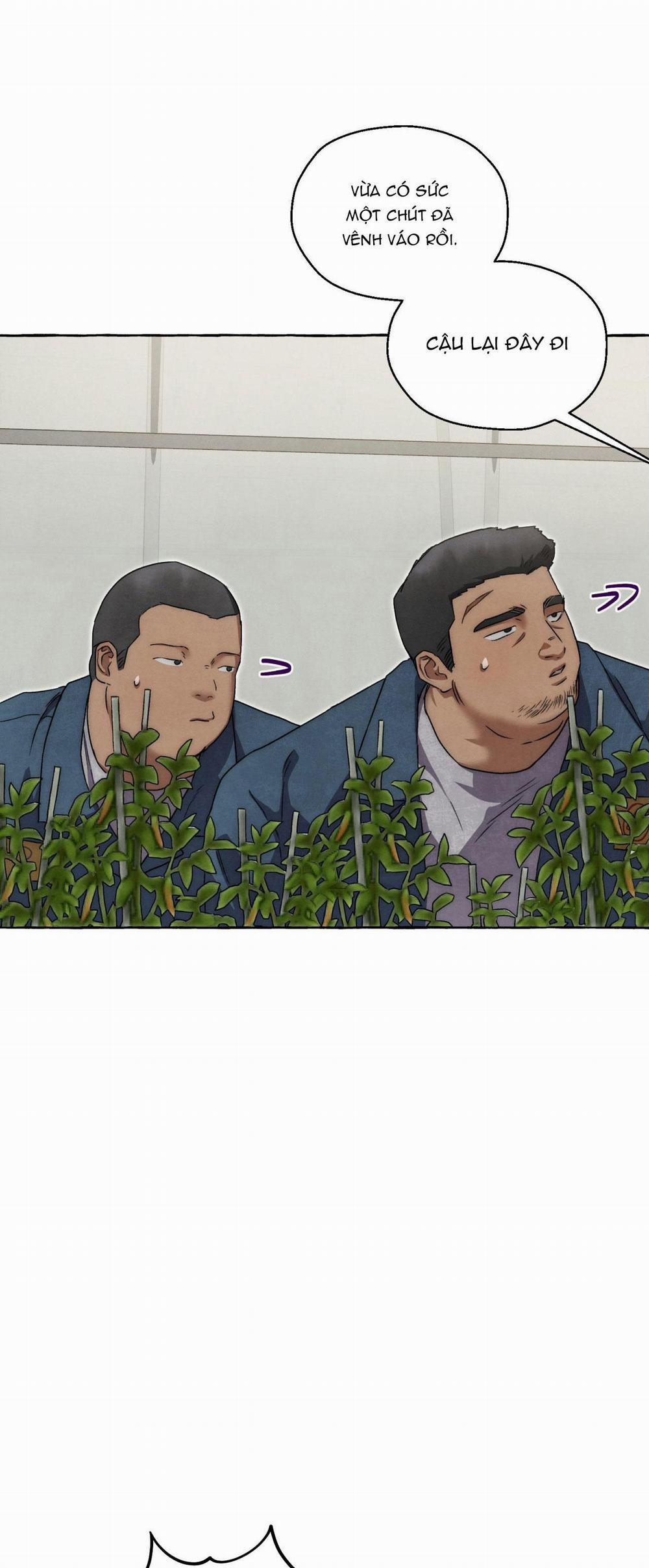 NHỮNG CON CHÓ TRONG TÙ 41 trang 24