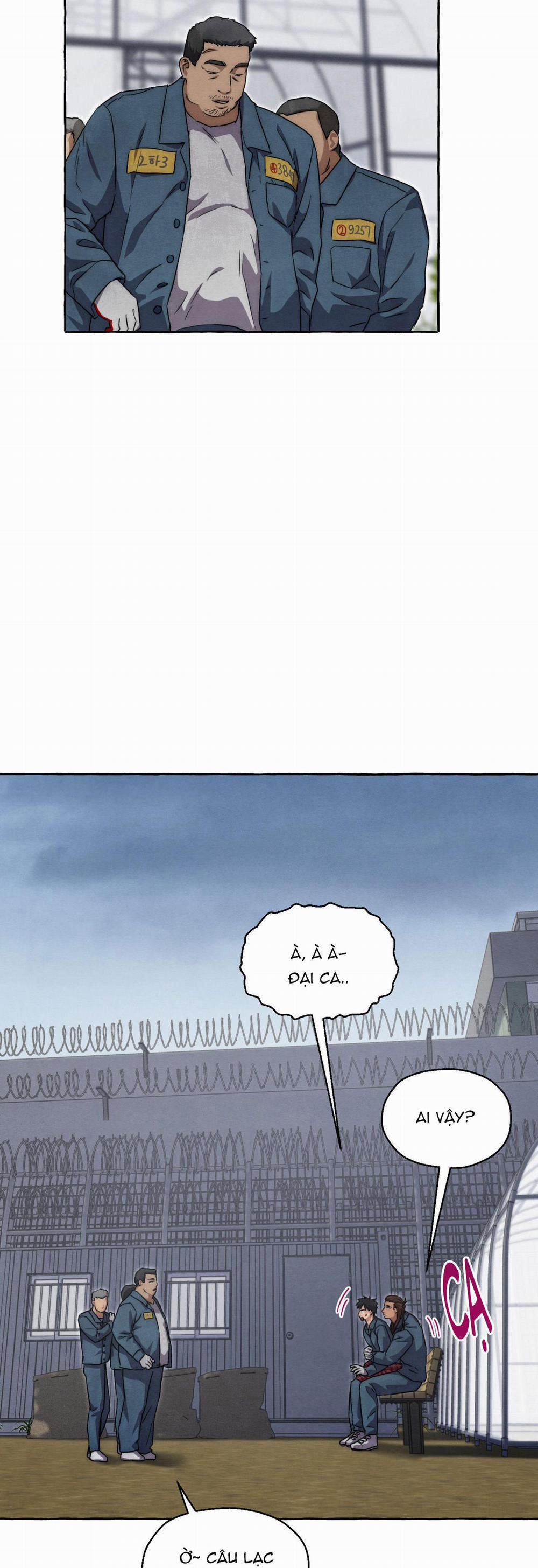 NHỮNG CON CHÓ TRONG TÙ 41 trang 32