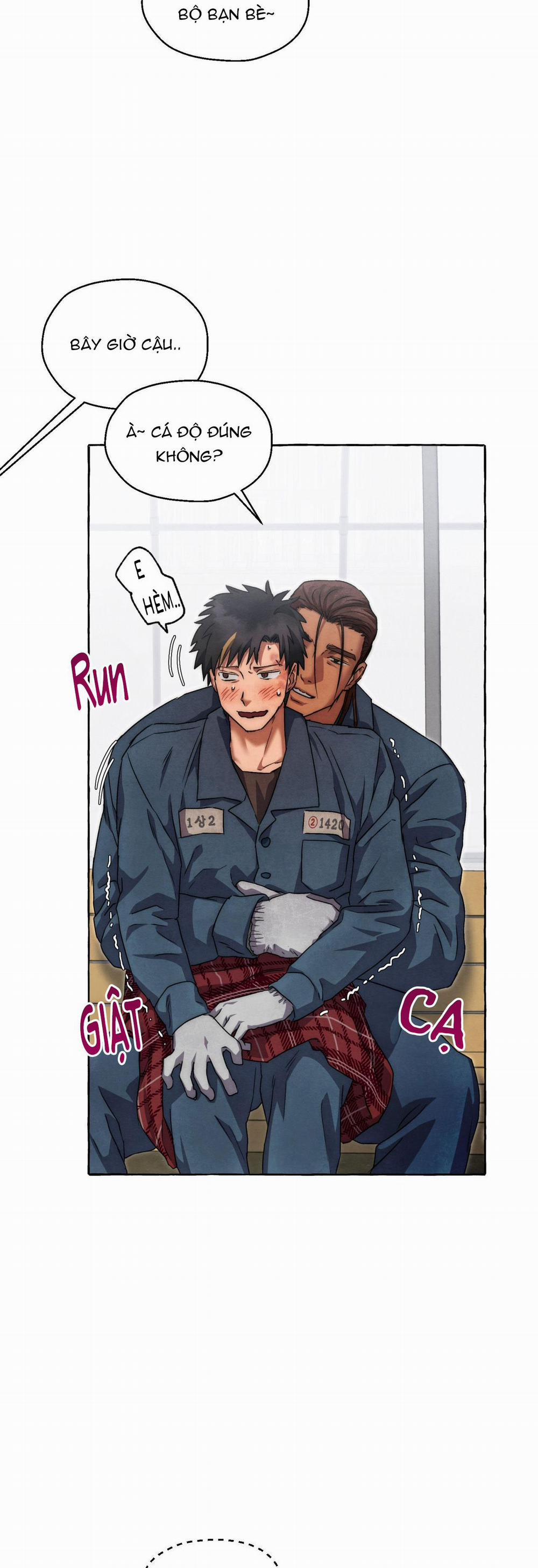 NHỮNG CON CHÓ TRONG TÙ 41 trang 33