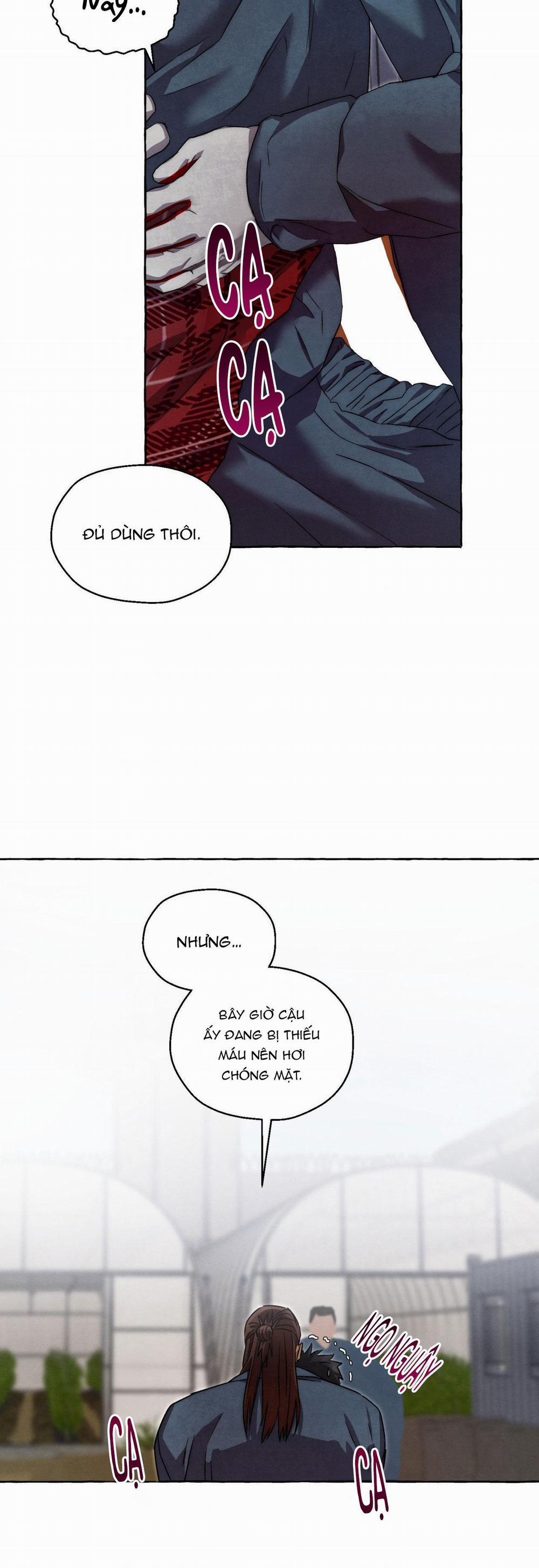 NHỮNG CON CHÓ TRONG TÙ 41 trang 36