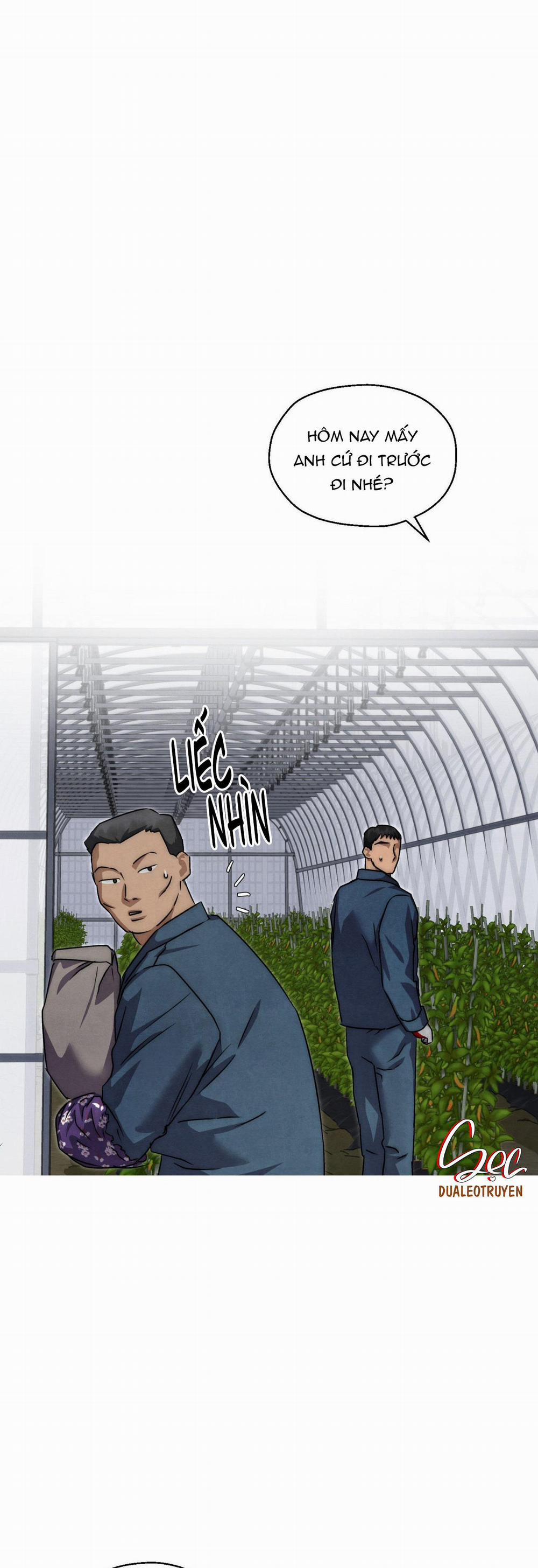 NHỮNG CON CHÓ TRONG TÙ 41 trang 37