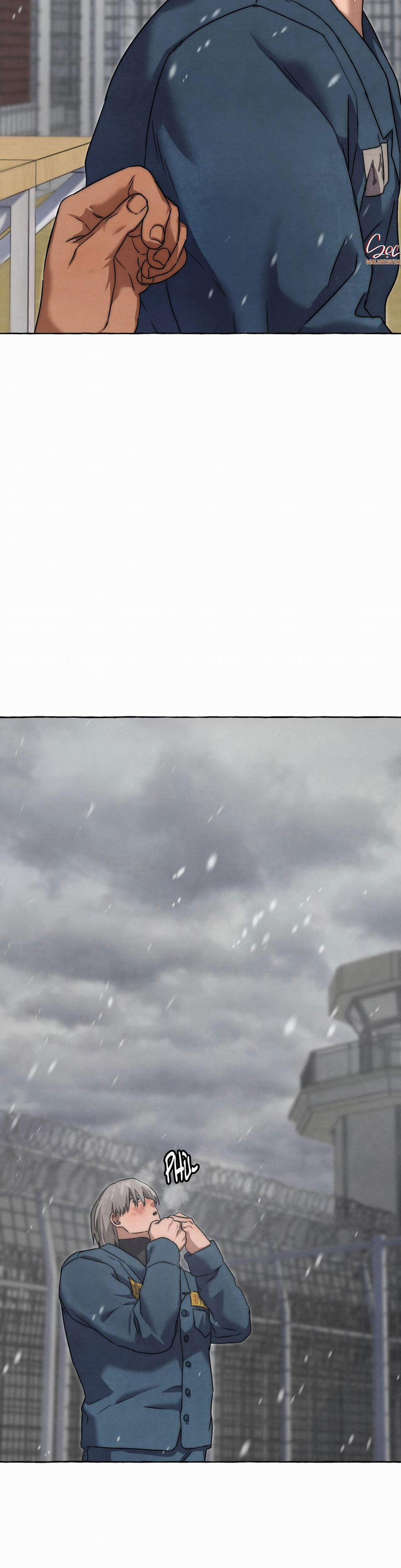 NHỮNG CON CHÓ TRONG TÙ 42 trang 23