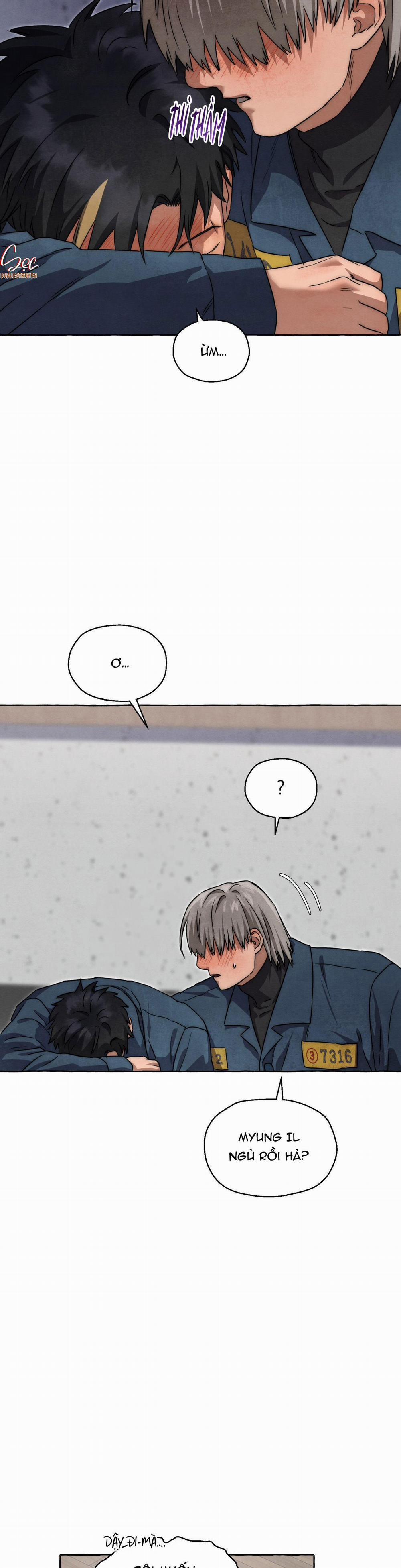 NHỮNG CON CHÓ TRONG TÙ 44 trang 11