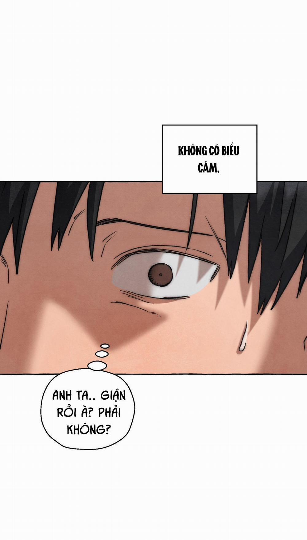 NHỮNG CON CHÓ TRONG TÙ 47 trang 13