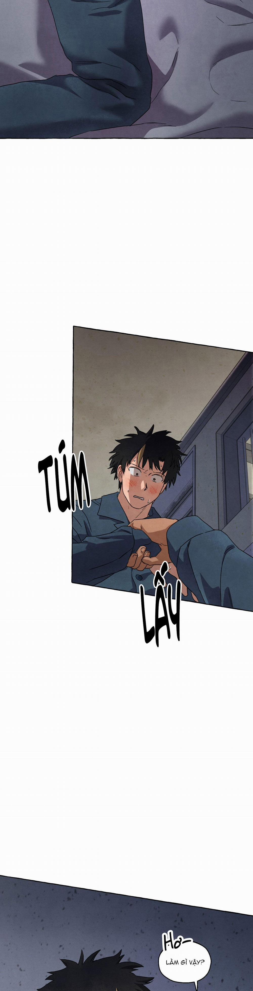 NHỮNG CON CHÓ TRONG TÙ 49 trang 5