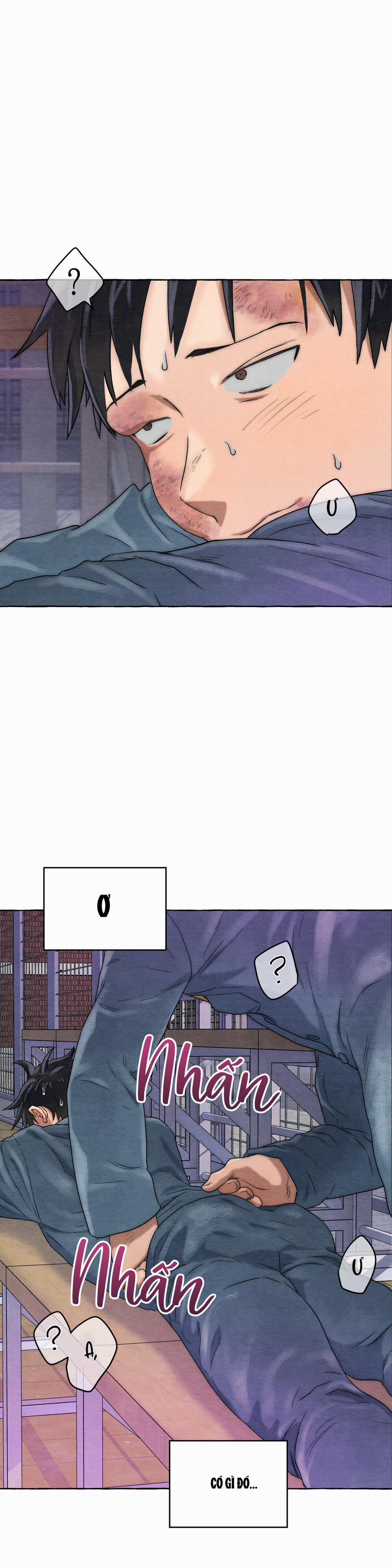 NHỮNG CON CHÓ TRONG TÙ 5 NGANG RAW trang 1