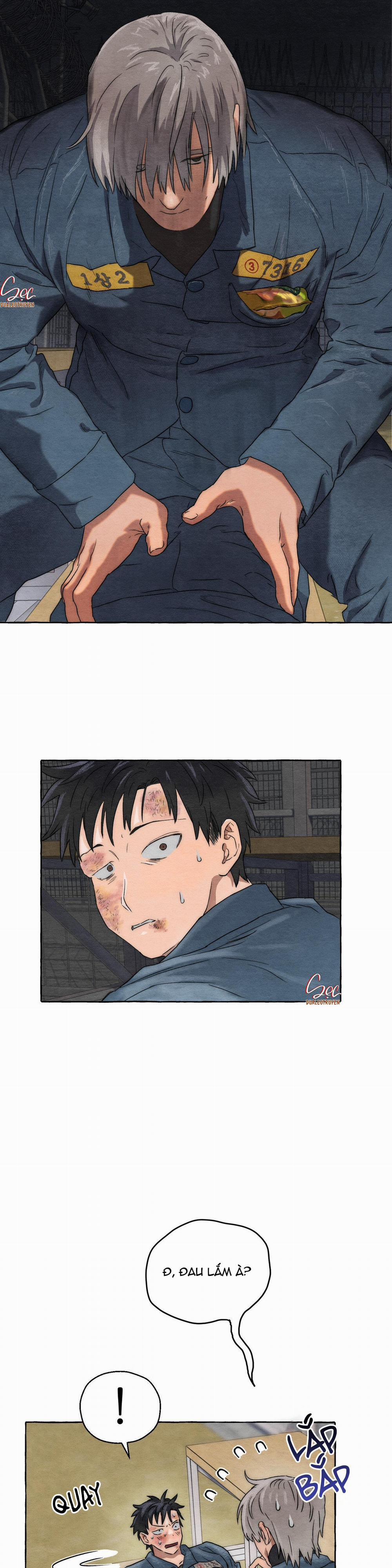 NHỮNG CON CHÓ TRONG TÙ 5 NGANG RAW trang 3