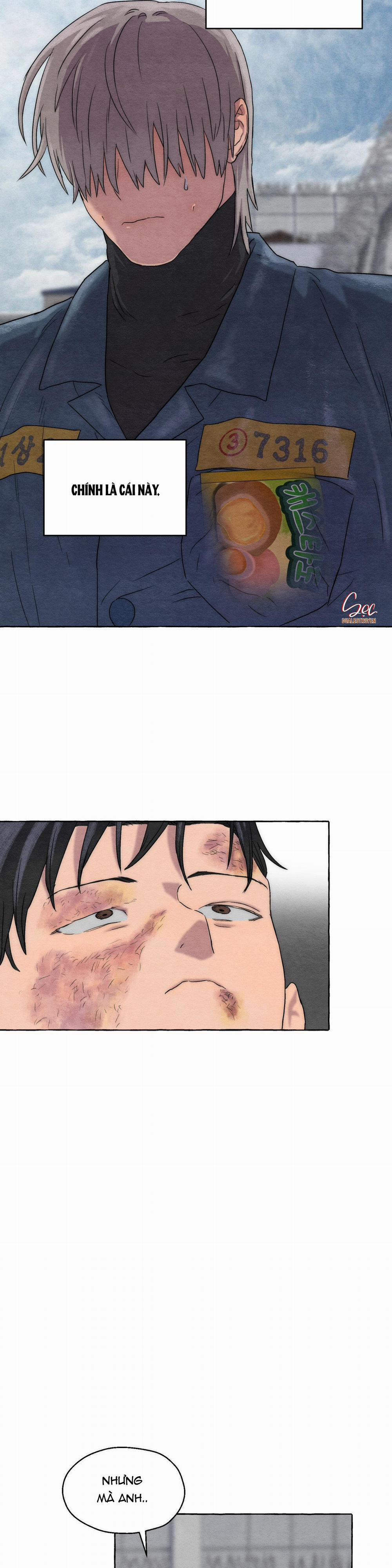 NHỮNG CON CHÓ TRONG TÙ 5 trang 6