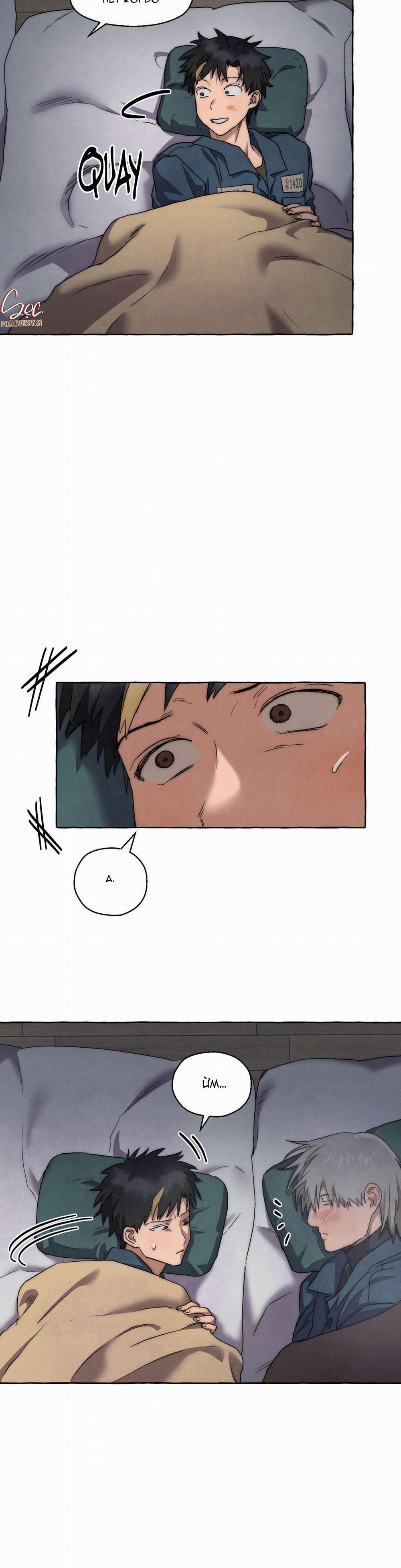 NHỮNG CON CHÓ TRONG TÙ 51 trang 19