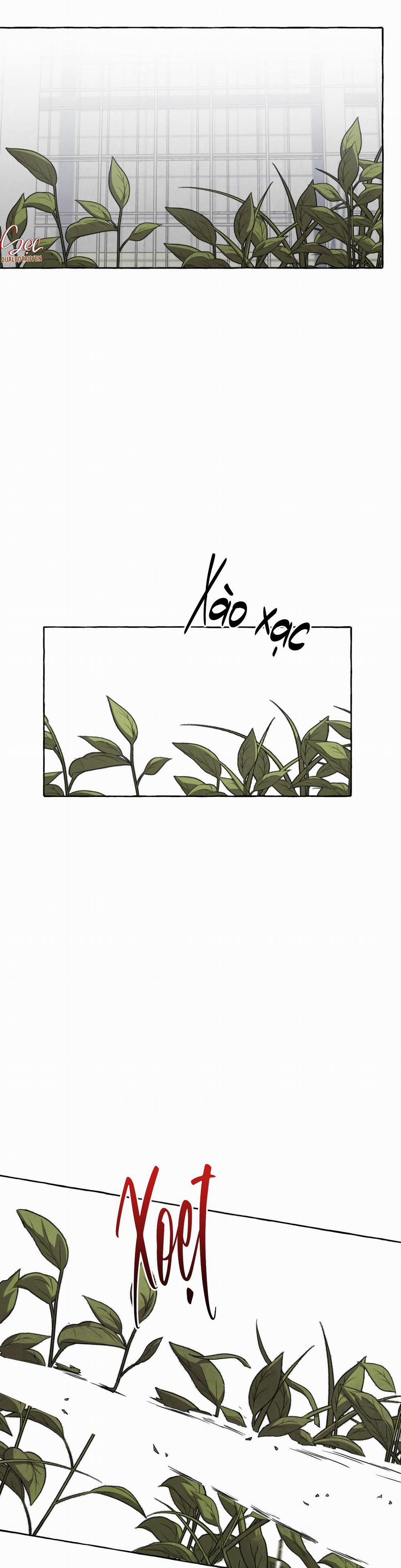 NHỮNG CON CHÓ TRONG TÙ 51 trang 23