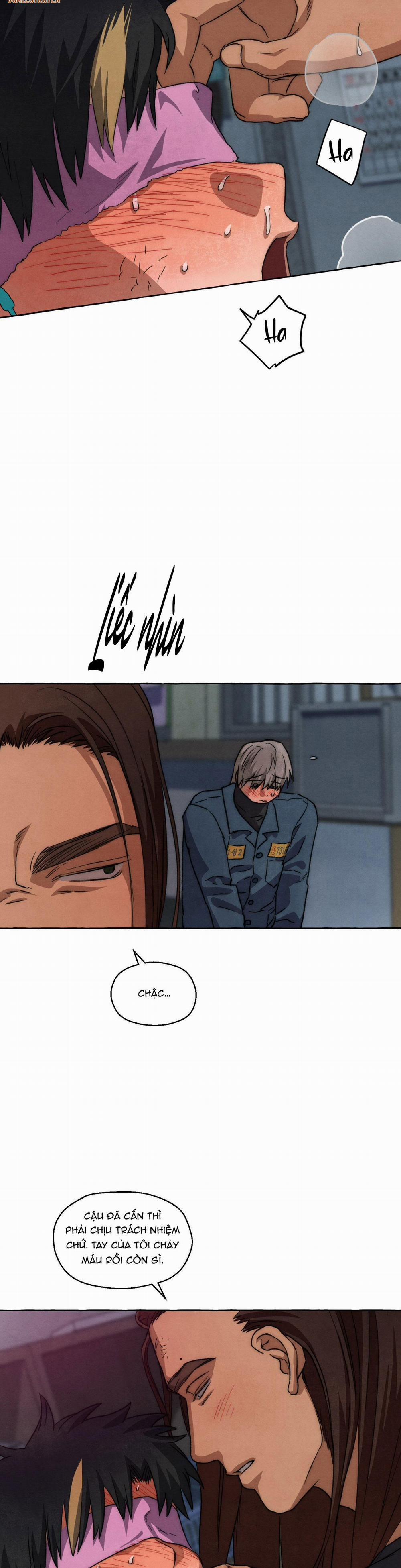 NHỮNG CON CHÓ TRONG TÙ 56 trang 9